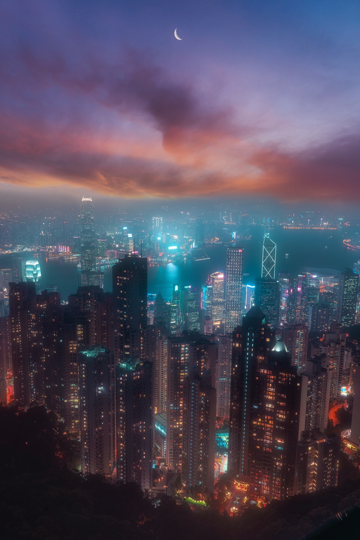 参照写真